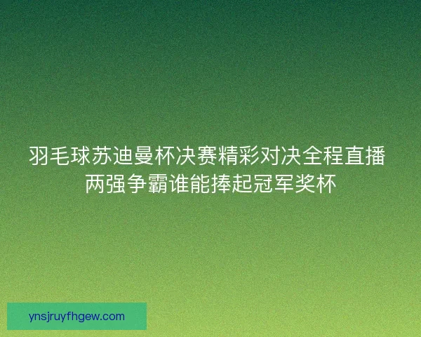 羽毛球苏迪曼杯决赛精彩对决全程直播 两强争霸谁能捧起冠军奖杯