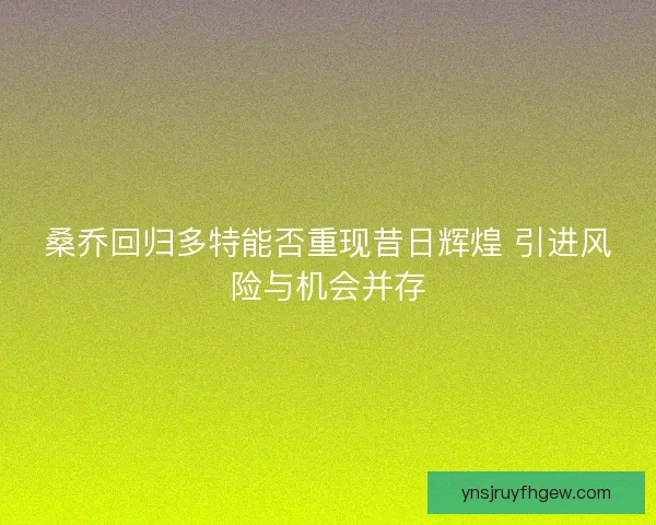 桑乔回归多特能否重现昔日辉煌 引进风险与机会并存