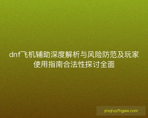 dnf飞机辅助深度解析与风险防范及玩家使用指南合法性探讨全面